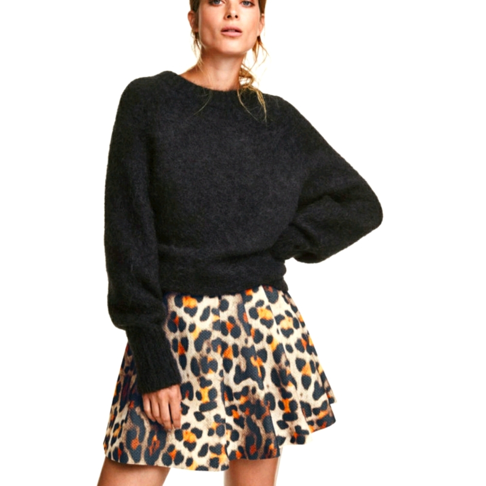 H&M Leopard Skater Skirt